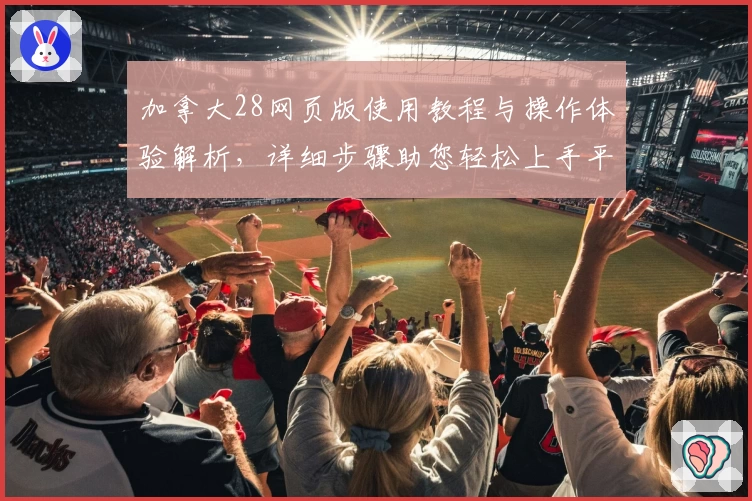 加拿大28网页版使用教程与操作体验解析，详细步骤助您轻松上手平台