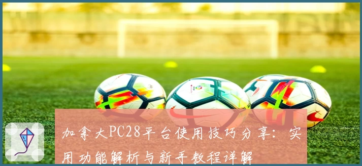 加拿大PC28平台使用技巧分享：实用功能解析与新手教程详解