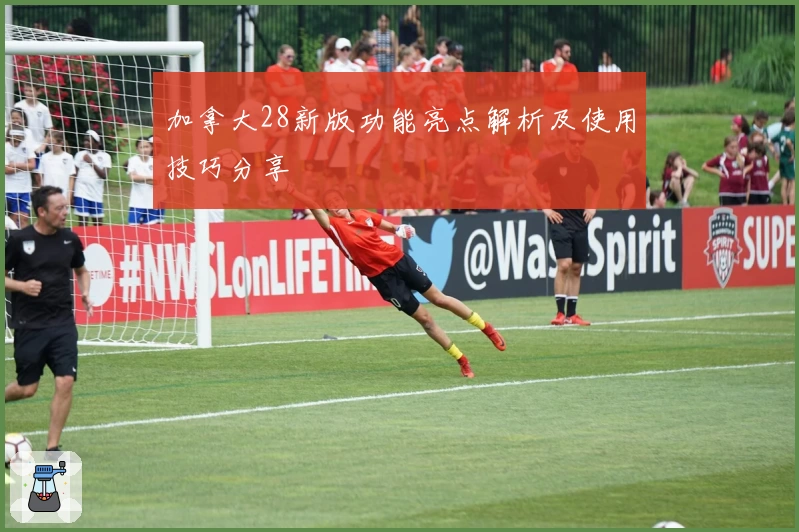 加拿大28新版功能亮点解析及使用技巧分享