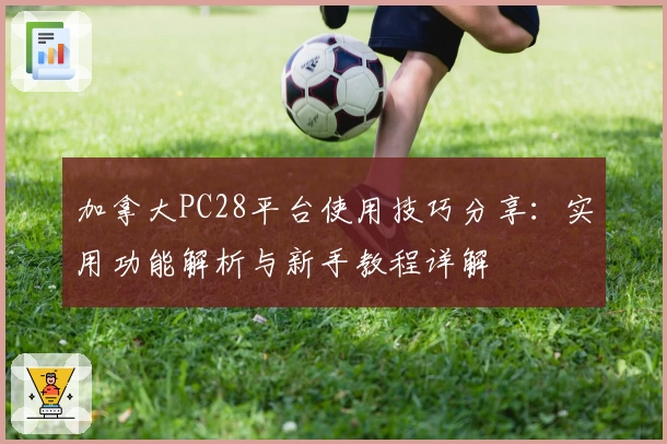 加拿大PC28平台使用技巧分享：实用功能解析与新手教程详解