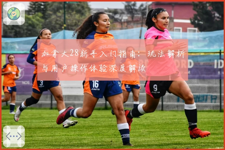 加拿大28新手入门指南：玩法解析与用户操作体验深度解读