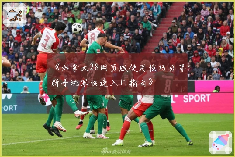 《加拿大28网页版使用技巧分享:新手玩家快速入门指南》