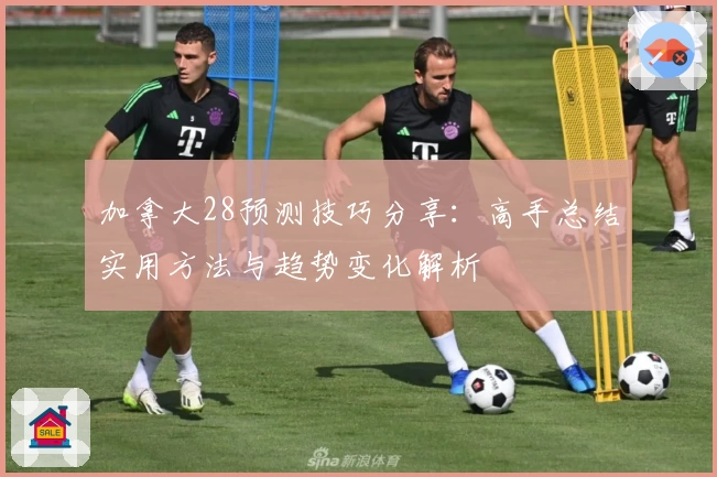 加拿大28预测技巧分享：高手总结实用方法与趋势变化解析