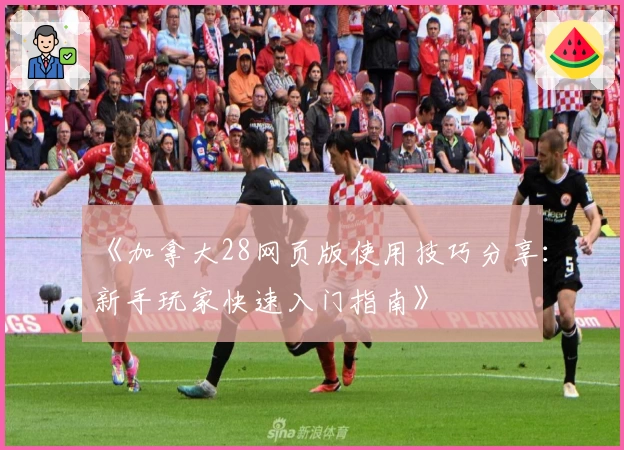 《加拿大28网页版使用技巧分享：新手玩家快速入门指南》