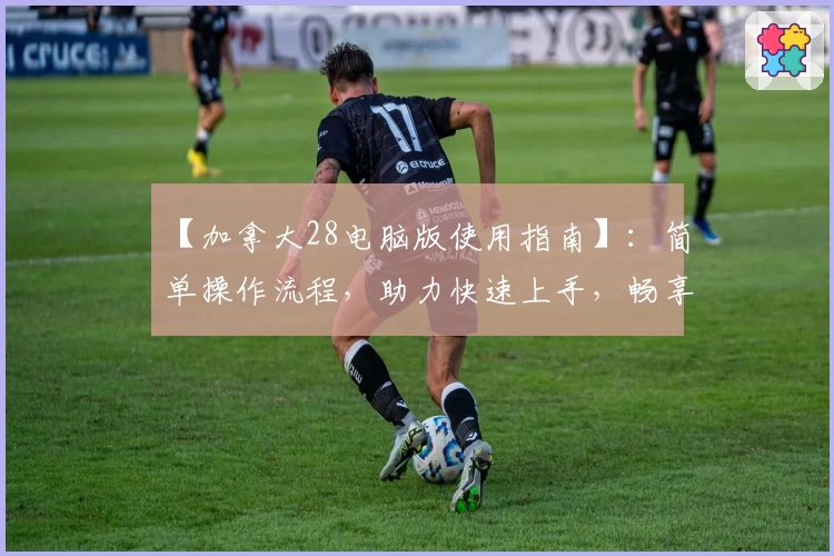 【加拿大28电脑版使用指南】：简单操作流程，助力快速上手，畅享流畅运行体验