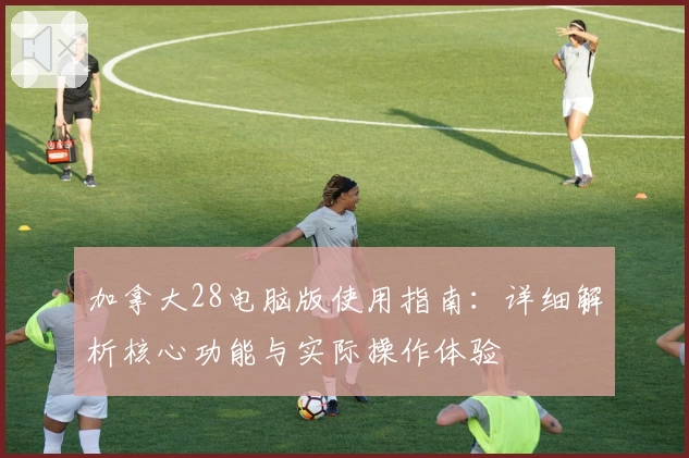 加拿大28电脑版使用指南：详细解析核心功能与实际操作体验