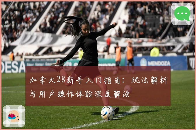 加拿大28新手入门指南:玩法解析与用户操作体验深度解读