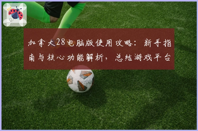 加拿大28电脑版使用攻略：新手指南与核心功能解析，总结游戏平台操作体验